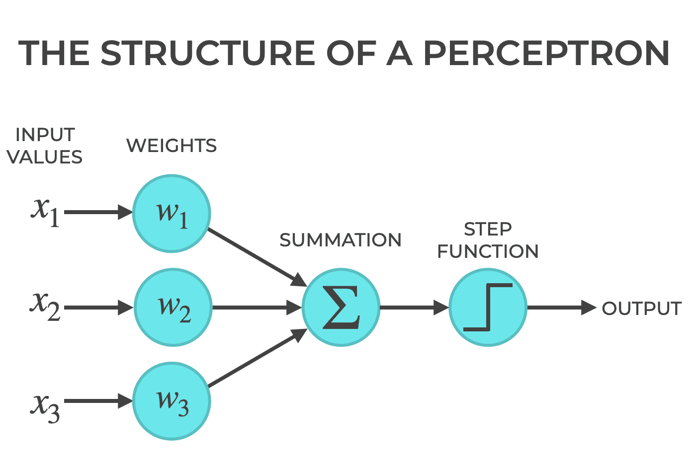 How To Make A Python Perceptron From Scratch - Sharp Sight