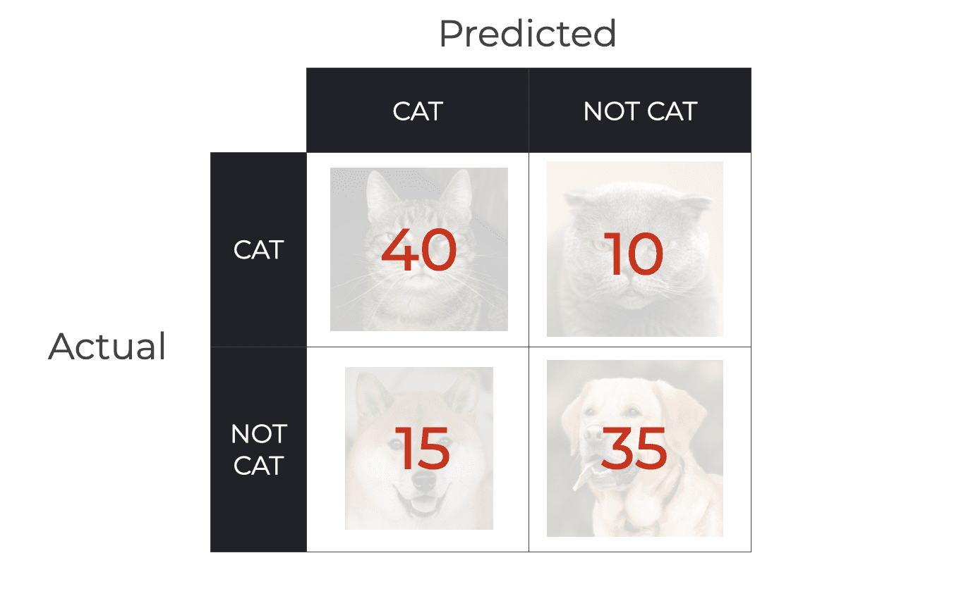 classification-accuracy-explained-sharp-sight